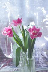 Fototapeta na wymiar Bouquet of pink tulips on a mirror background.