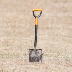 A shovel stuck in the ground. Close up