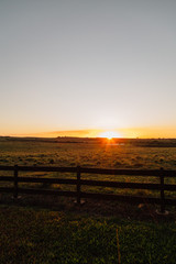 Fototapeta premium sunset on the farm