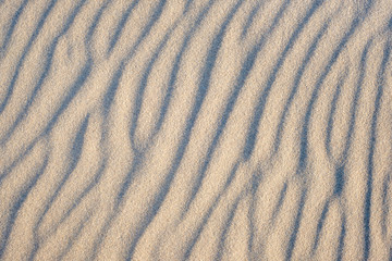 Sand texture. Sandy beach for background. Top view - 336178207