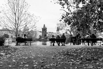 people in the park