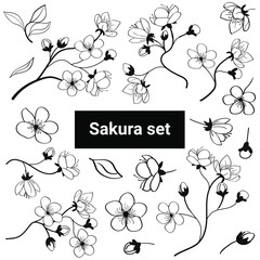 Set of flowers, leaves and sakura branches. Spring vector illustration. Isolated elements on a white background.