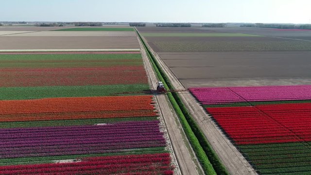 Prachtvolle Tulpenfelder in den Niederlanden aus der Luft gefilmt