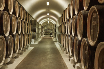 Background of wine barrels in wine-vaults. Mixed media. Interior of wine vault with wooden barrels. - obrazy, fototapety, plakaty