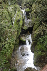 Beautiful landscape of a waterfall in a forest in a Mountain in Sichuan, China