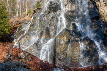 Panorama Waterfall Harz Germany Waterfall green forest landscape