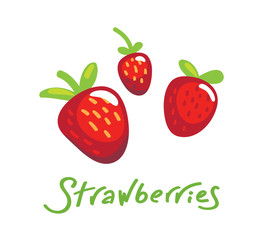 Fresh organic strawberries vector assortment on white.