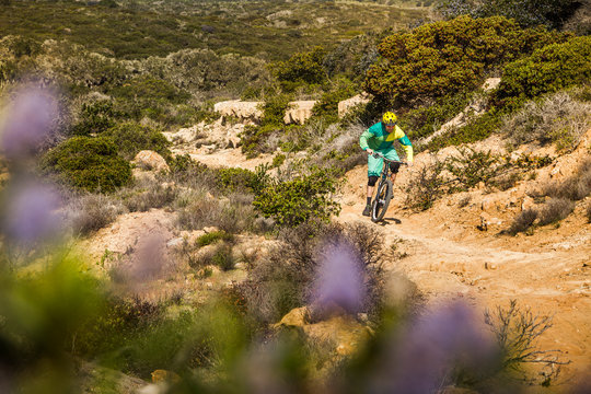 Man riding up dirth path on mountainbike in Fort Ord National Monument Park, Monterey, California, USA