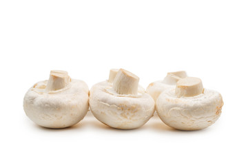 Champignon mushroom isolated on white background.
