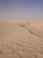 sand dunes 