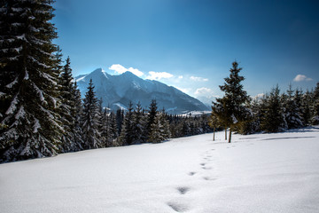 Fototapeta premium Snow covered mountains.
