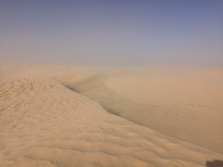 sand dunes 