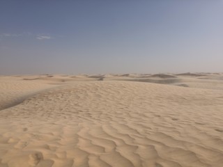 sand dunes 