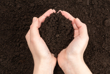 Woman hand holding ground.