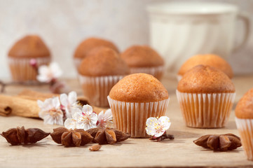 Small freshly muffins are ready to serve with coffee. Baking decorated with apricot flowers. Sweet dessert.