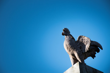 Coq de pierre