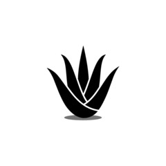 Aloe vera vector icon on white background