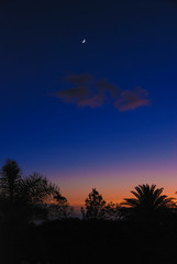 Fototapeta premium bonito atardecer en la isla de La Palma con la luna de fondo