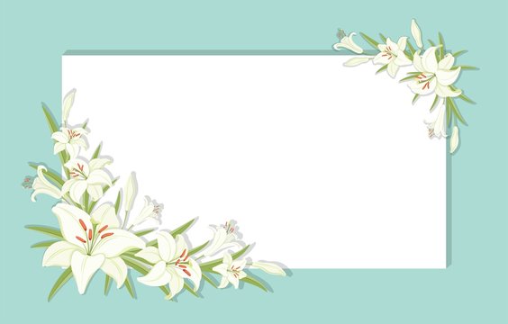 Floral background. Square frame decorated with white lilies flowers. White lilies with green foliage. Template for greeting cards, invitations. Empty space for your text. Vector illustration