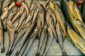Obraz premium Fresh fish, mackerel and sardines in the local market of Ortigia island in province of Syracuse in Sicily