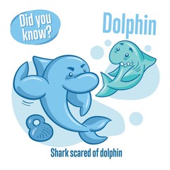 Interesting facts about sea animals. Dolphin. Did you know?