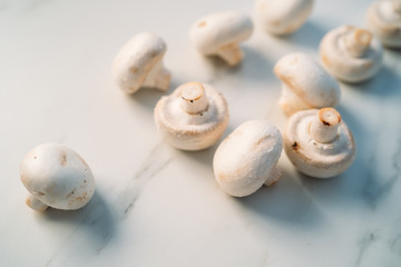 Set of fresh whole and sliced champignon mushrooms isolated on white stone background. Top view