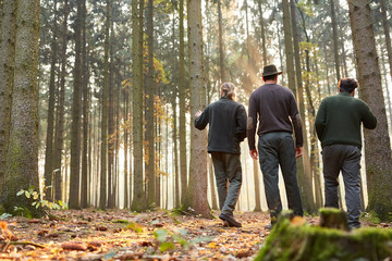 Three foresters in the forest make a tour