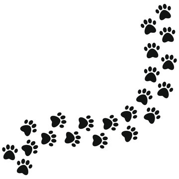 Paw print trail isolated on white background. Dog or cat paws print. Animal steps. Vector