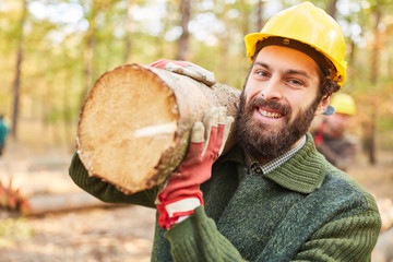 Forest worker at the wood harvest carries tree trunk