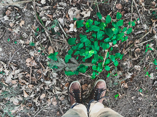 Füsse auf Waldboden 