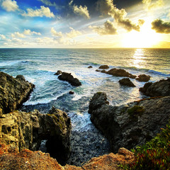 Bodega Bay, California