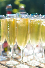 champagne in a glass on a sunny day