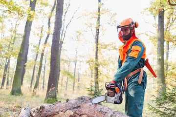Lumberjack in protective gear with chainsaw