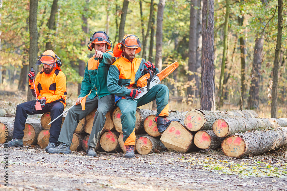 Wall mural Lumberjack team takes break at the wood harvest