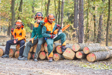 Lumberjack team takes break at the wood harvest