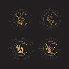 Hand Drawn Collection of Moons with Herbs and Sunburst. Gold Vector Doodle Set