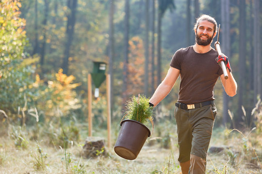 &nbsp;F&ouml;rster trainee in the F&Ouml;J with pine seedlings