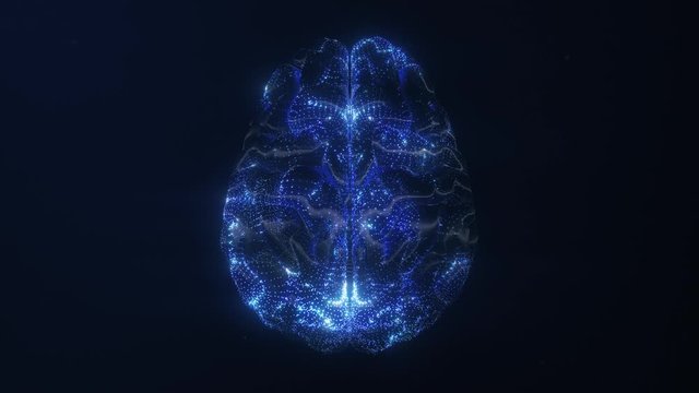 3D render of the human brain top view. Blue particles follow brain structure, neuronal and synapse activity, thinking, Artificial Intelligence and deep learning, digital brain with electrical impulses