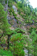 Born of Marcos y Cordero, it is one of the most important springs of the Canary Islands and is located about 1,350 meters high. It is a landscape formed by a path that starts from the Casa del Monte.