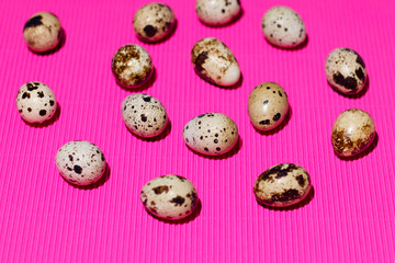 Obraz premium A spiral of quail eggs lies on a textured bright pink background. Photo taken close up. Bright photo for your best design.