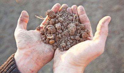 The man is holding the very dry soil in his palm. Concept of soil erosion due to lack of...