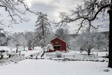 Country Winter Wonderland © Michael Pellegrini