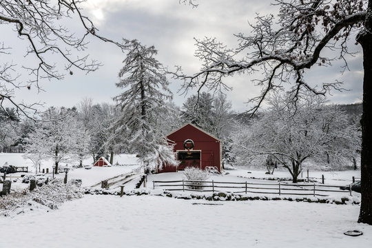 Country Winter Wonderland