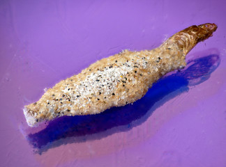 mosquito developmental phase larva