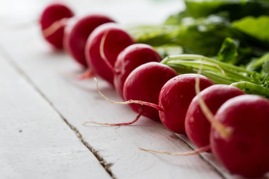 Radishes lie in a row on a white background.