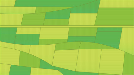 Agriculture field background. Green landscape top view.