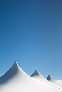 Tent tops