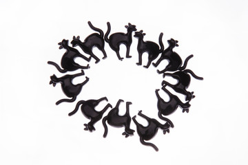 Circle of black cats