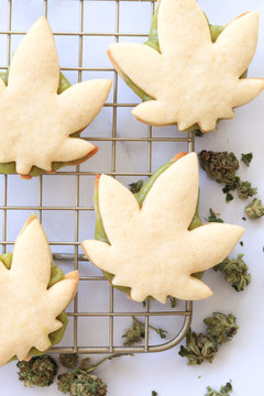 Cannabis-Infused Cookies