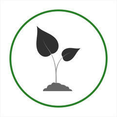 Seedling vector silhouette on a white background